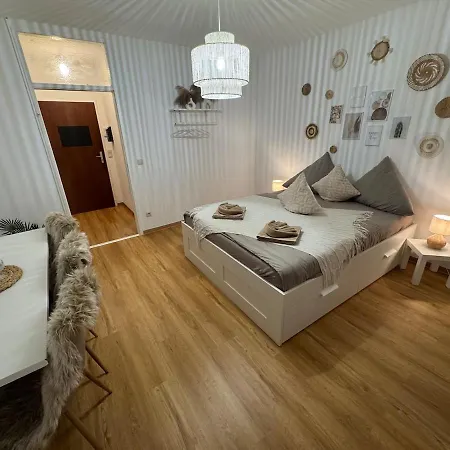 Boho Vibes *